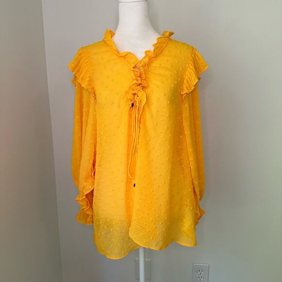 Anthropologie Haida dark yellow Swiss dot peasant ruffle top size L - Picture 3 of 13
